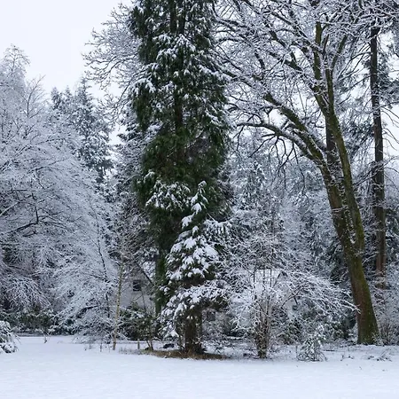 Het Witte Boshuis Holiday home Vierhouten