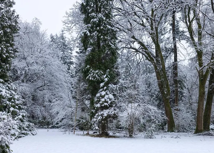 Het Witte Boshuis Semesterbostad Vierhouten