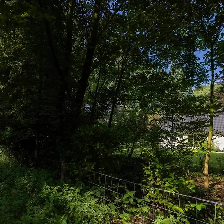 Het Witte Boshuis Σπίτι διακοπών